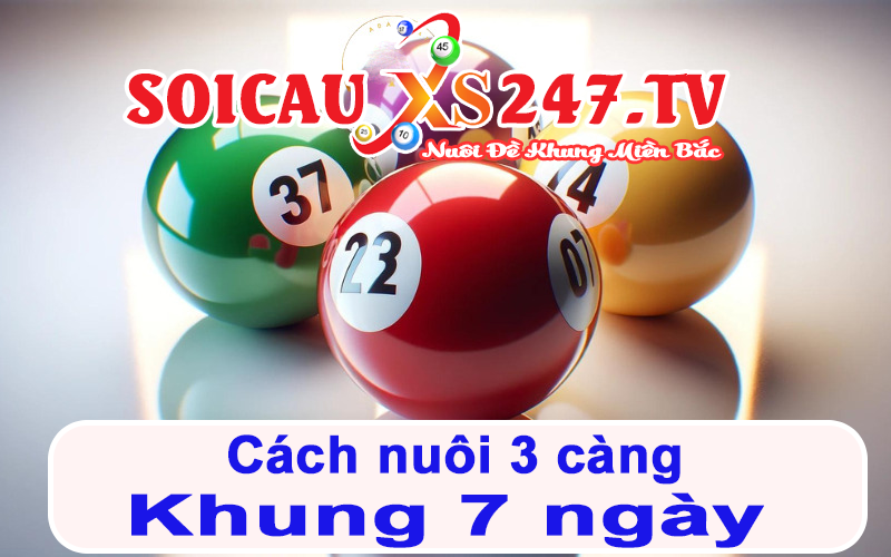 cách nuôi 3 càng khung 7 ngày