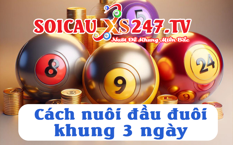 cách nuôi đầu đuôi khung 3 ngày