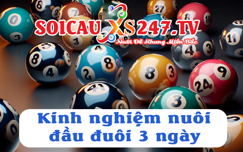 kinh nghiệm nuôi đầu đuôi 3 ngày