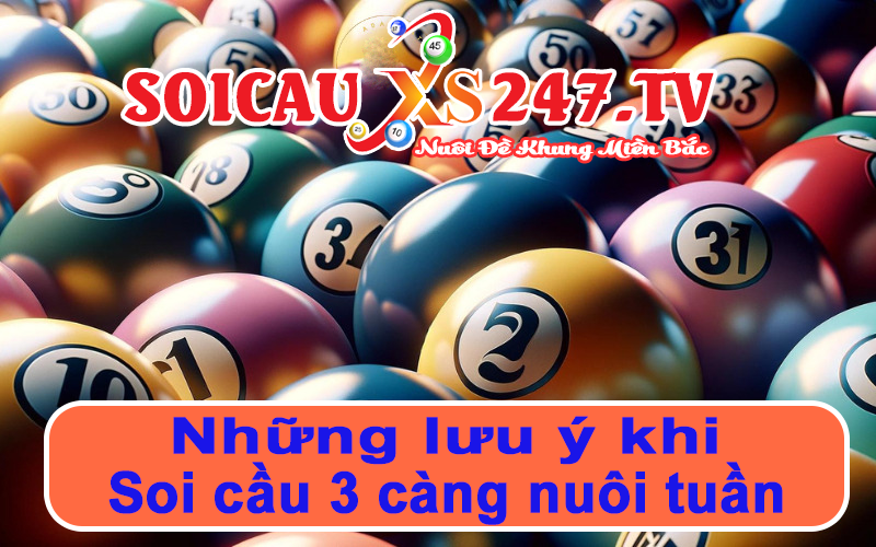 những lưu ý khi soi cầu 3 càng nuôi tuần