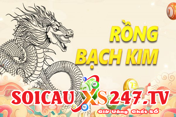 soi cầu rồng bạch kim 247