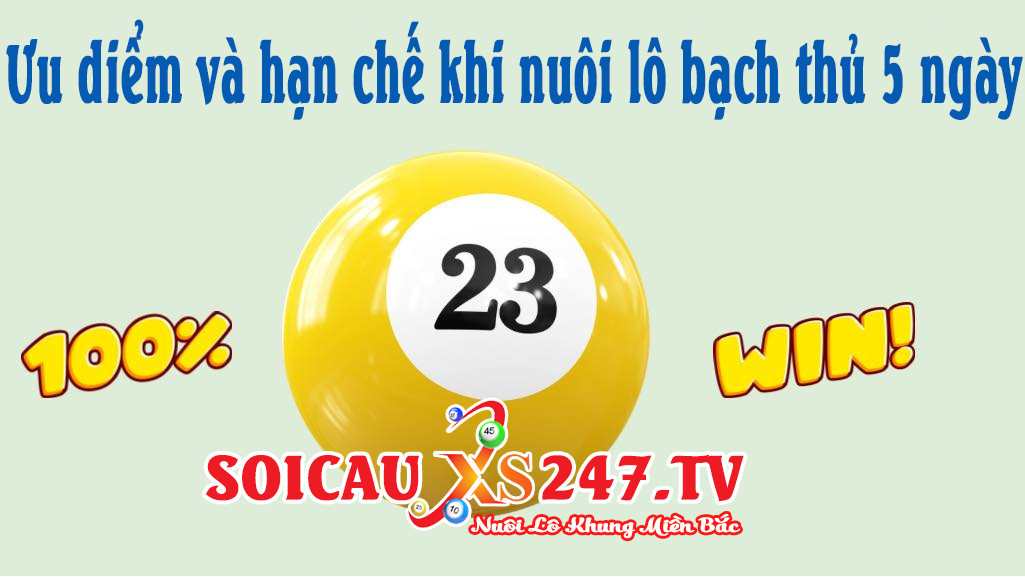 ưu điểm và hạn chế của bạch thủ lô nuôi 5 ngày