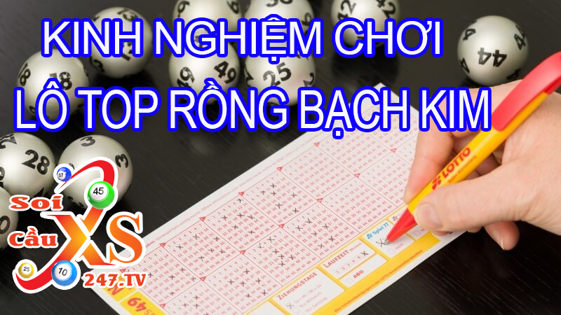 kinh nghiệm chơi lô top rồng bạch kim